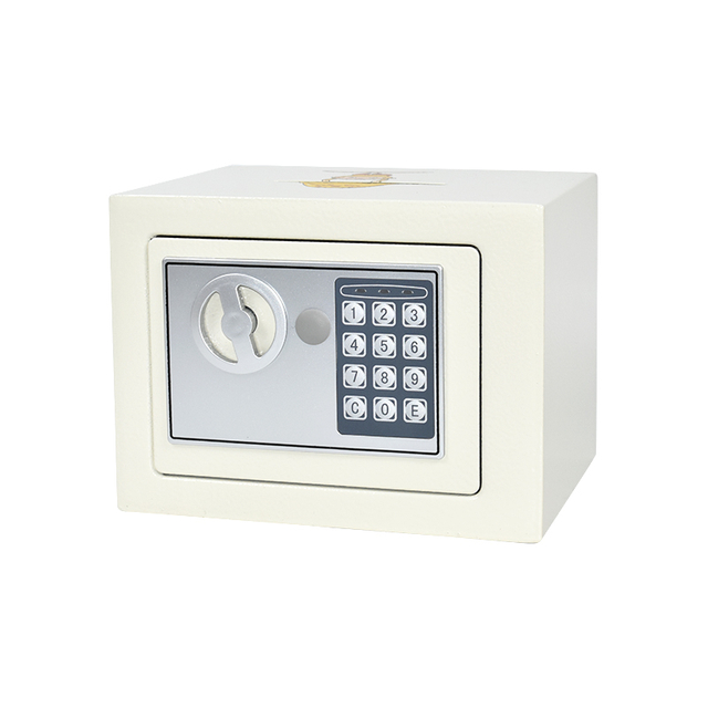 17E Zodiac Customized Home And Hotel Anti-theft Safe Box