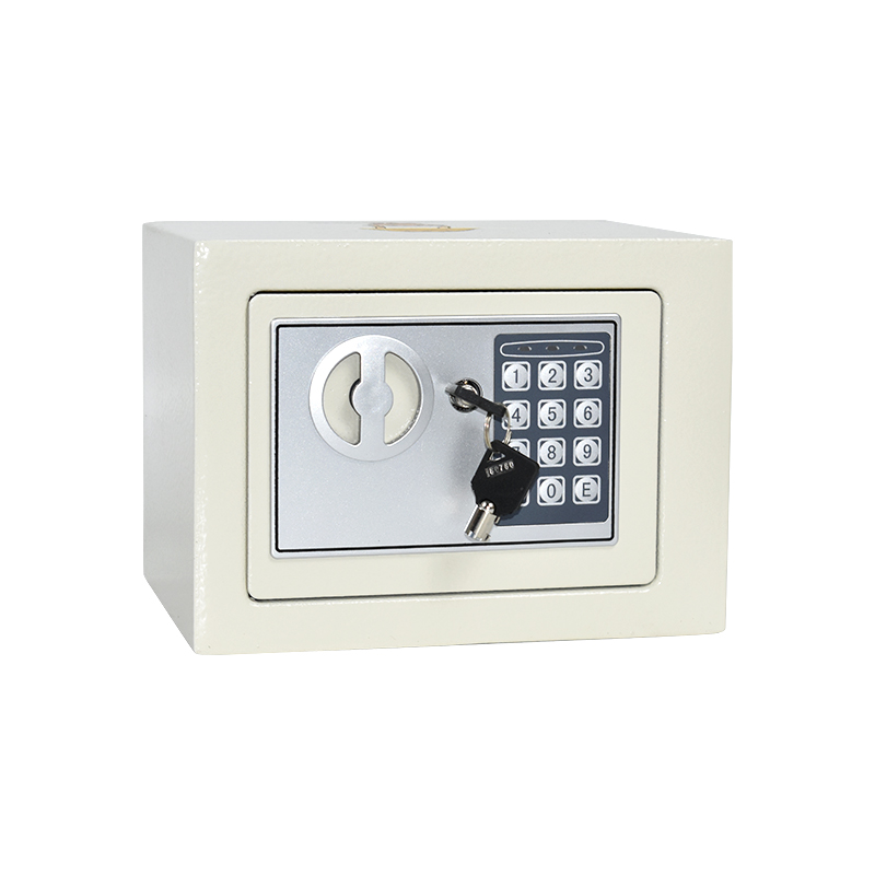 17E Zodiac Customized Home And Hotel Anti-theft Safe Box