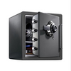 Fireproof Safe Regular
