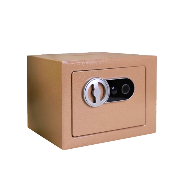 17E Fingerprint Money Box 2024 New Model Available for Children